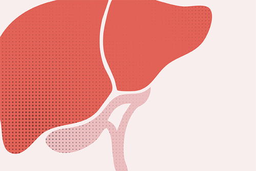 0525-101-AI-News-Uncovering-the-molecular-drivers-of-liver-cancer_Teaser.png