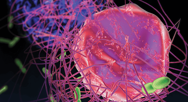 Teaser Image of Immune System Chat Room