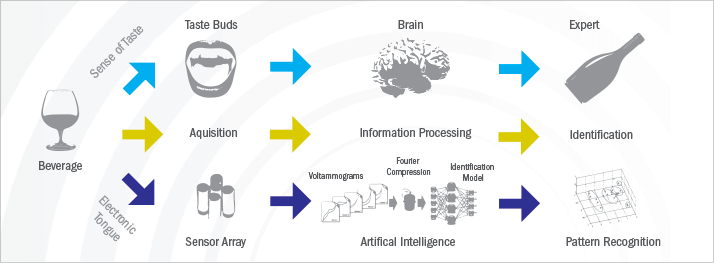 Graphic showing the process of tasting